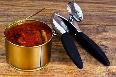 Canned Fish Sprat in Tomato Sauce Studio Photo