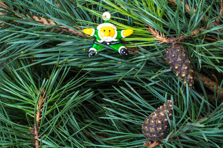 Christmas abstraction with pine branch and Santa. Studio Photo
