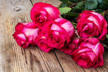 Roses on a wooden background. Studio Photoの写真素材