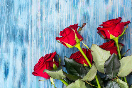 Flowers on a blue background. Studio Photoの写真素材