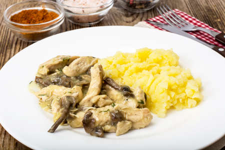 Meat in mushroom sauce with mashed potatoes. Studio Photoの写真素材
