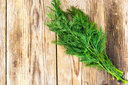 Fresh Juicy Dill Isolated on White Background Studio Photo