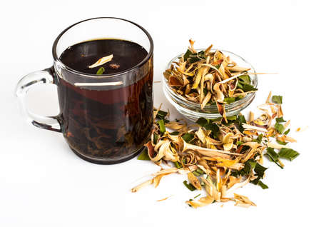 Herbal tea for healthの写真素材