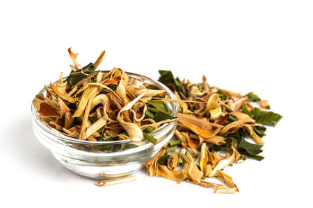 Herbal tea for healthの写真素材