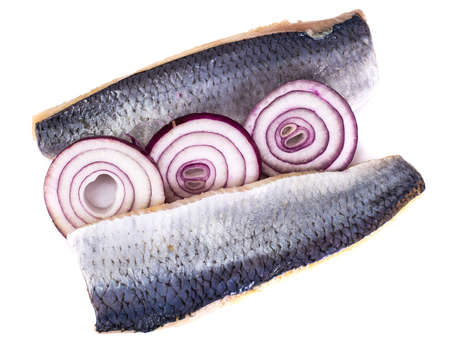 Fillet of salted herring with red onion ringsの写真素材