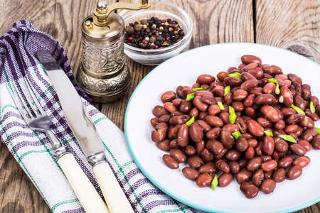 Spicy dish of red beans with green onions and spicesの写真素材