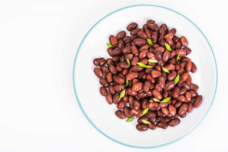 Spicy dish of red beans with green onions and spicesの写真素材