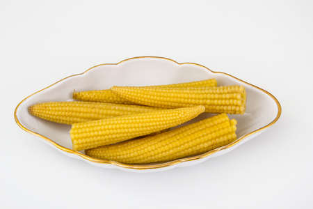 Corn cobs small canned pickledの写真素材