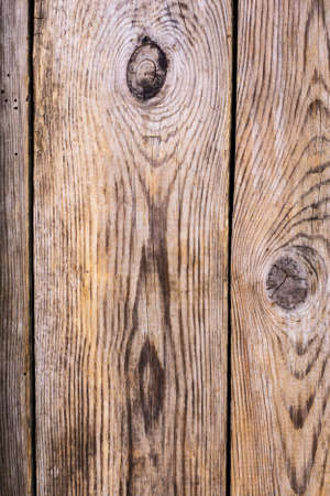 Different wood structure, blank template, abstract backgroundの写真素材