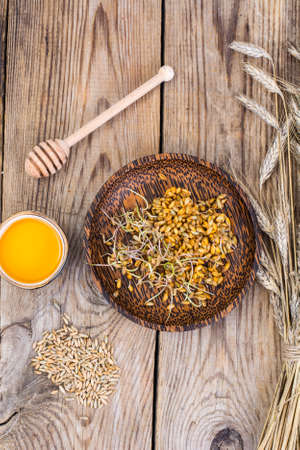 Germinated seeds, honey in cookingの写真素材