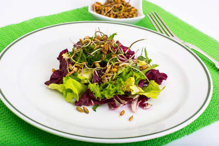 Salad with sprouts of ryeの写真素材