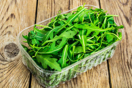 Fresh arugula in plastic container. Studio Photoの写真素材