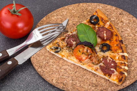 Pizza with salami and mozzarellaの写真素材