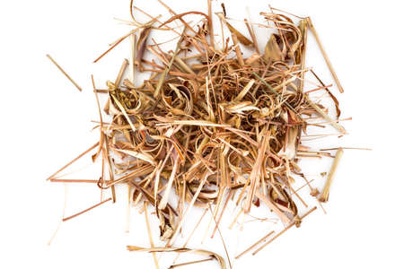 Dried stems and leaves of lemongrassの写真素材