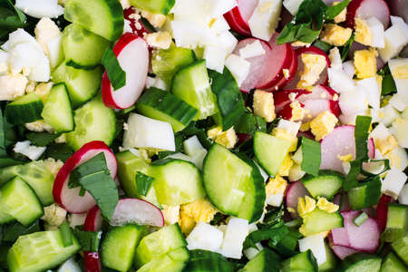 Sliced cucumber, radish, onion, spinach, lettuce and egg in metaの写真素材