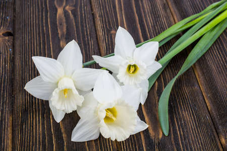 Bouquet of daffodils on wooden background