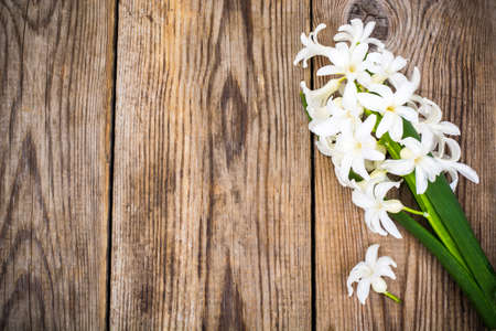 Cutted hyacinth on wooden background. Studio Photoの写真素材