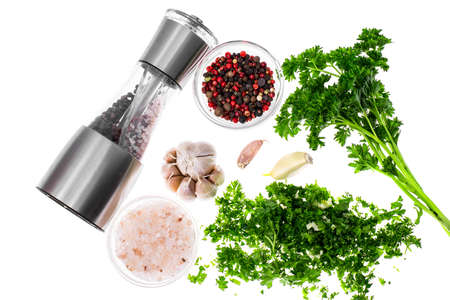 Set of natural spices and herbs for cooking.の写真素材