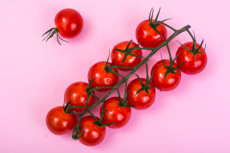 Organic cherry tomatoes on pink background. Studio Photoの写真素材