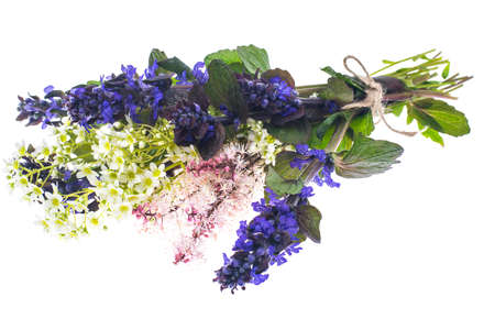 Bouquet of ground cover plants Isolated on white background. Studio Photoの写真素材