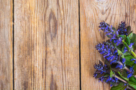 Flowering ground cover plants on wooden background.の写真素材