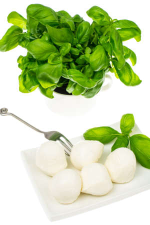 Mozzarella balls on white plateの写真素材