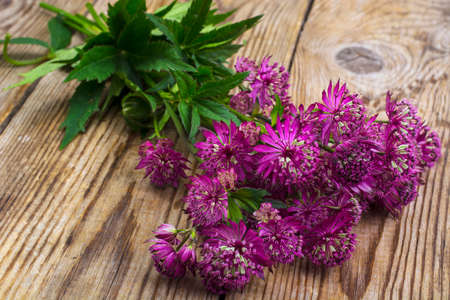 Bouquet with blue flowers on wooden table.の写真素材