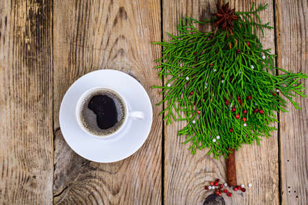 New Years Concept. Spruce treeの写真素材