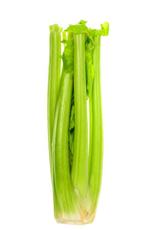 Bunch of fresh stem green celery.の写真素材