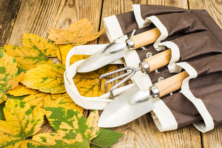 Souvenir garden toolsの写真素材