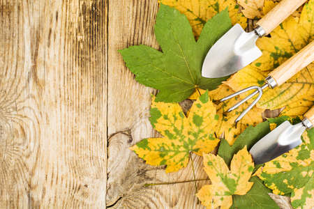 Souvenir garden toolsの写真素材