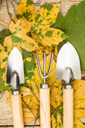 Souvenir garden toolsの写真素材