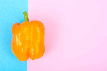 Yellow sweet pepper on pastel backgroundの写真素材