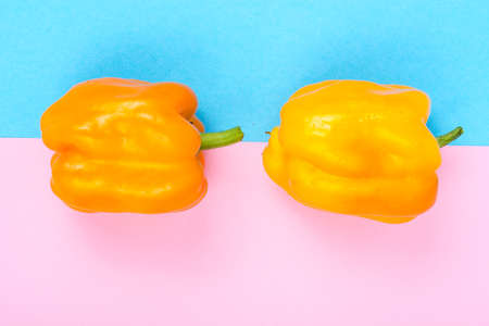 Yellow sweet pepper on pastel backgroundの写真素材