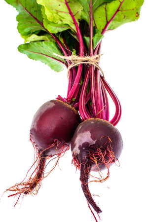 Fresh beetroot with leaves, isolated on white backgroundの写真素材