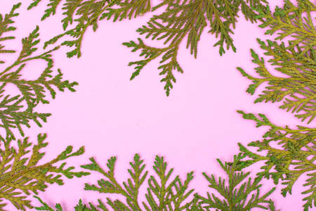 Card Template for christmas with place for textの写真素材