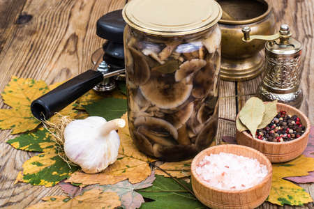 Autumnal forest marinated mushrooms in glass jar, salt, spices on  wooden tableの写真素材
