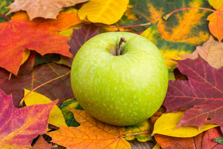 Green apple on background of autumn leavesの写真素材