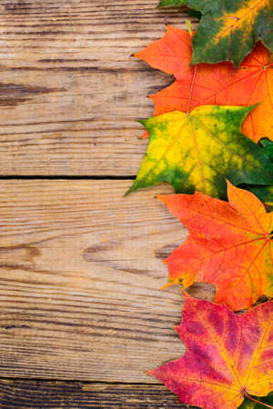 Autumn background with colorful fall maple leaves on rustic wooden table.  Concept Thanksgiving holidaysの写真素材