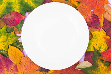 White plate on the background of autumn leaves for seasonal menuの写真素材