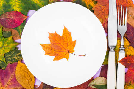 White plate on the background of autumn leaves for seasonal menuの写真素材