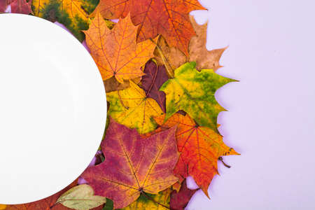 White plate on the background of autumn leaves for seasonal menuの写真素材
