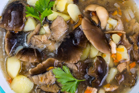Delicious homemade soup with mushrooms and potatoesの写真素材