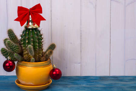 New Year in tropical hot climate concept. Cactus as christmas tree with toy and gift boxesの写真素材
