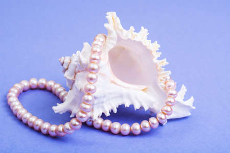 Delightful pearl necklaceの写真素材