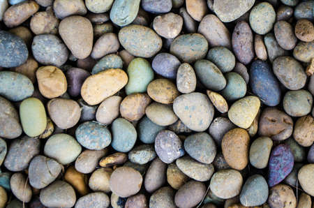 Background of garden paths of different textureの写真素材