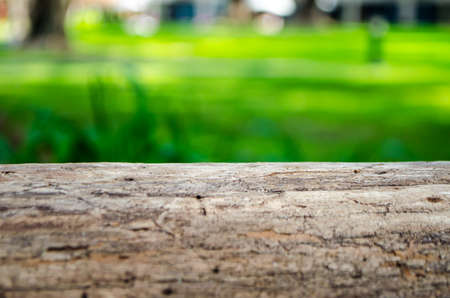 Natural background of green leafy plantsの写真素材