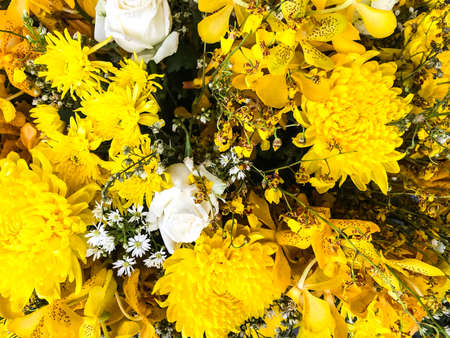 Bright floral background, space for text. Studio Photoの写真素材