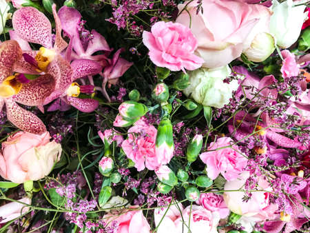 Bright floral background, space for text. Studio Photoの写真素材