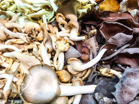 Fresh mushrooms for sale. Studio Photoの写真素材